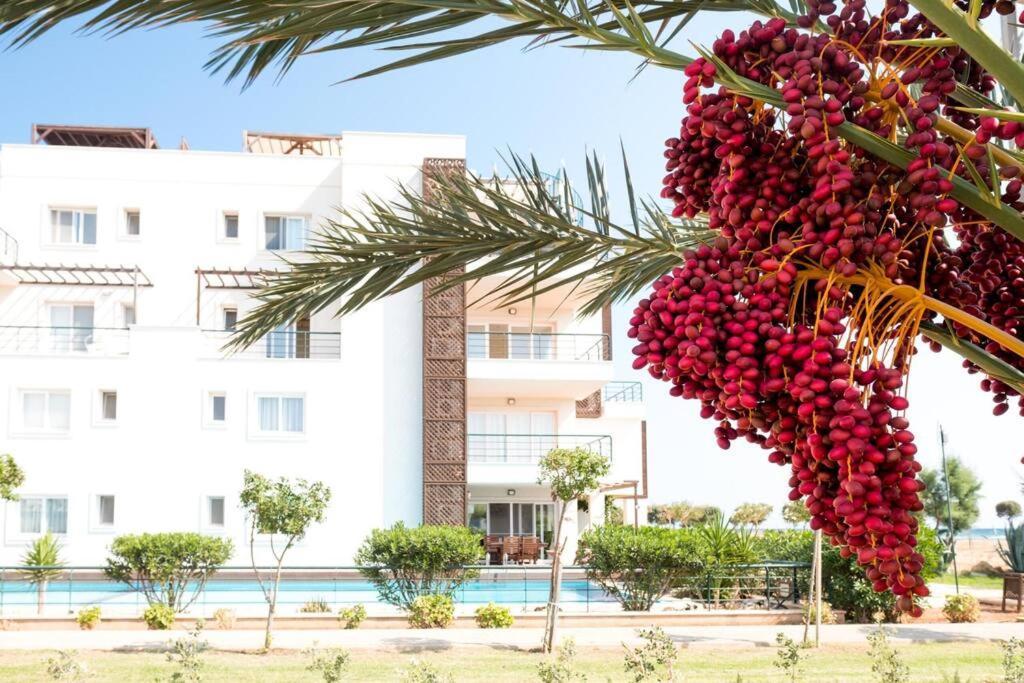Private Beach Resort Cyprus Vokolidha Extérieur photo